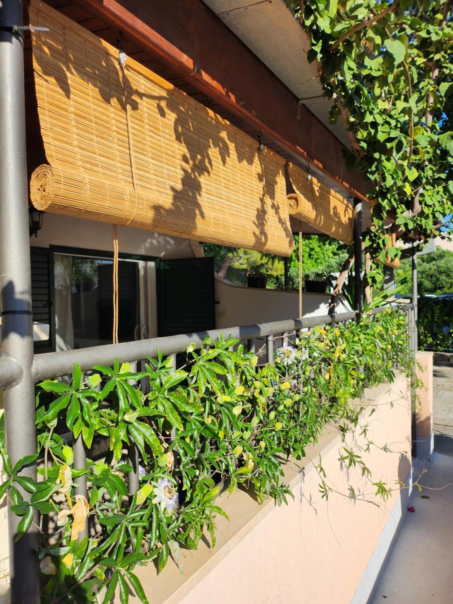 Apartmani Dijana Подгора Номер фото